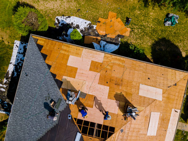 Best Commercial Roofing Services  in Williston, FL