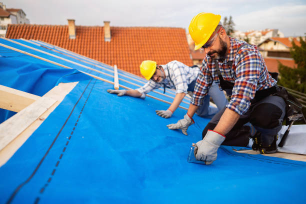 Best Emergency Roof Repair  in Williston, FL