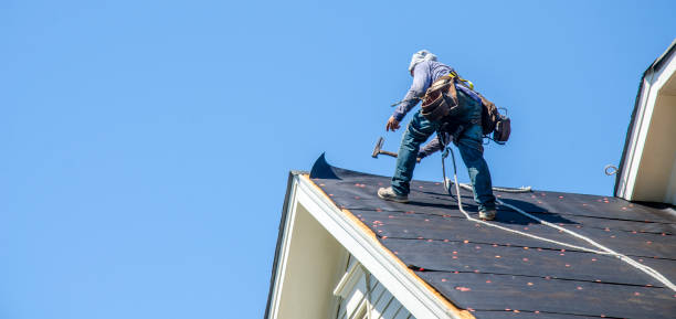 Best Flat Roof Repair Services  in Williston, FL